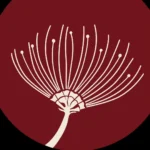 Chankiri Kitchen & Bar